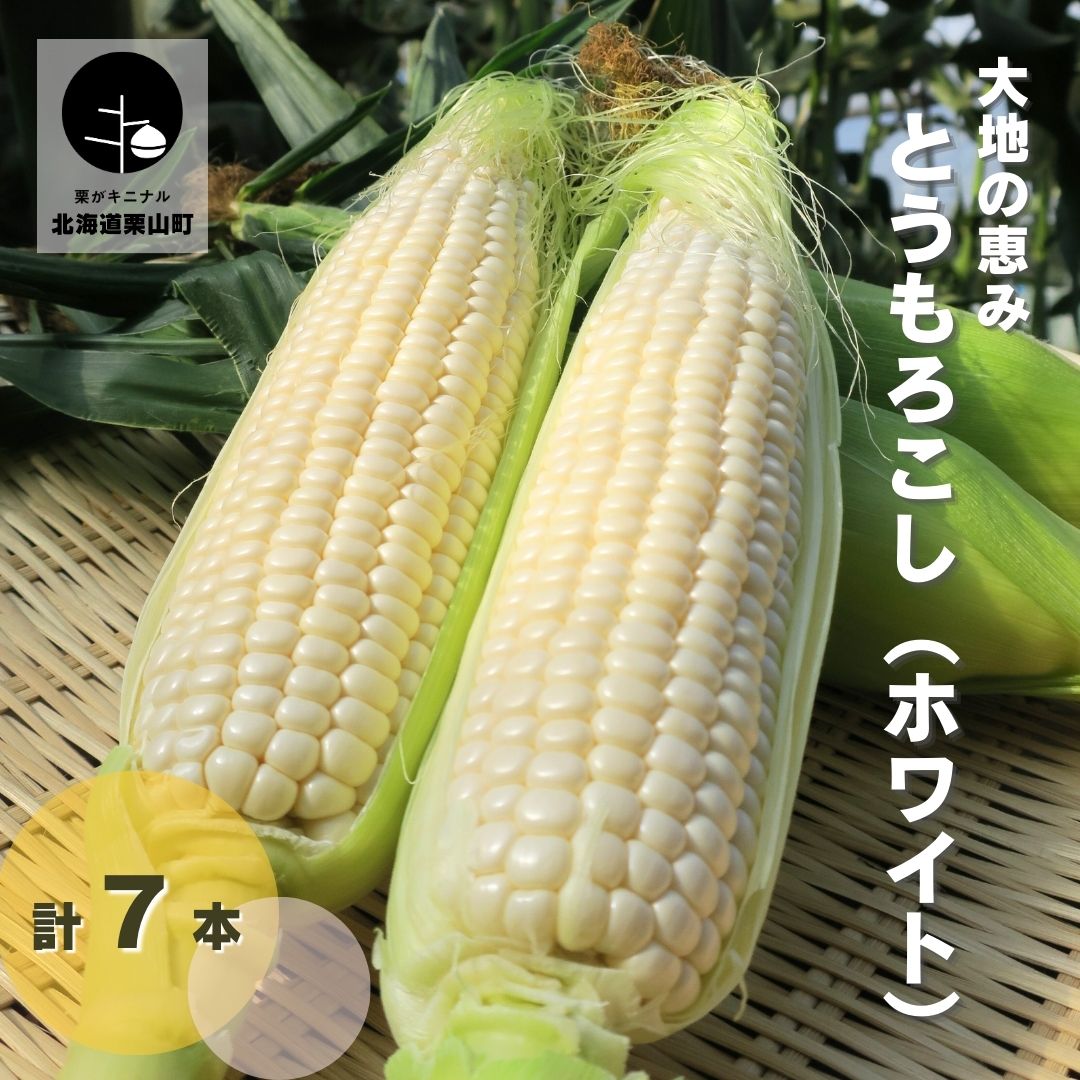 【ふるさと納税】大地の恵み「とうもろこし（ホワイト）」7本