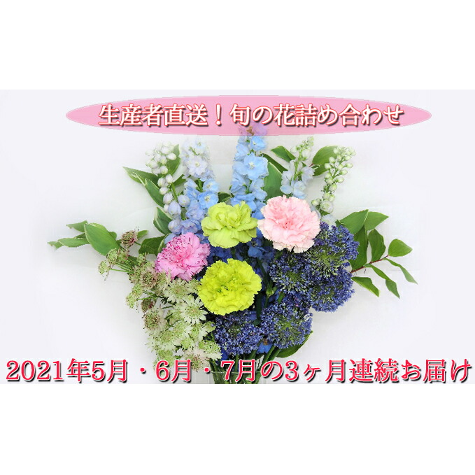 21年5月 6月 7月の3ヶ月連続お届け 生産者直送 旬の花詰め合わせ 5品種本以上保証 花束 切花 お届け 21年5月中旬 7月 まで 北海道月形町 ふるさと納税 定期便 花 花詰め合わせ 3ヶ月 3回 花 観葉植物 北海道月形町