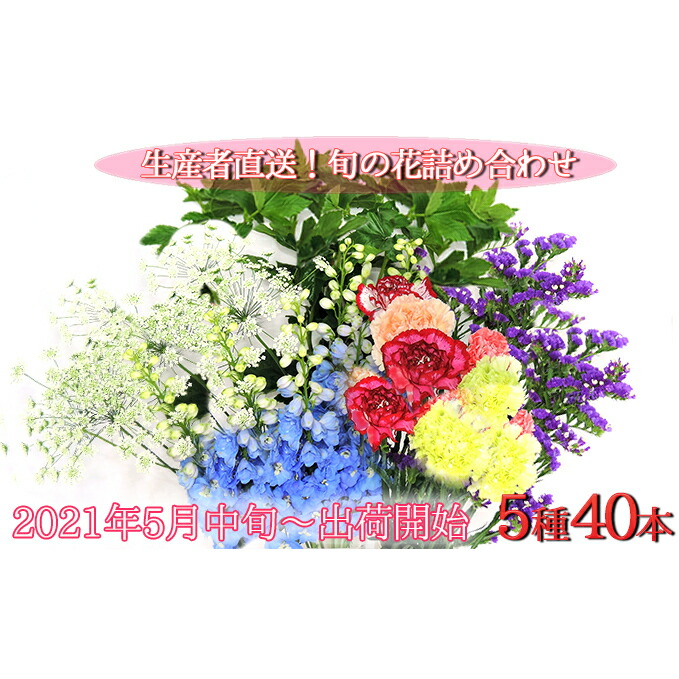 ふるさと納税 21年5月中旬 出荷開始 生産者直送 旬の花詰め合わせダブル 5品種40本以上保証 花 お届け 21年5月中旬 11月 中旬まで 北海道月形町 北海道月形町