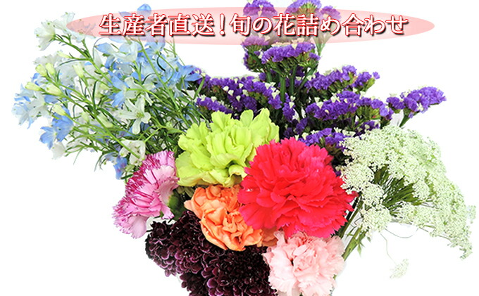 楽天市場 ふるさと納税 生産者直送 旬の花詰め合わせ 5品種本以上保証 花 旬の花詰め合わせ フラワー お花 お届け 21年7月 初旬 11月中旬まで 北海道月形町 楽天市場 ふるさと納税 生産者直送 旬の花詰め合わせ 5品種本以上保証 花 旬の花詰め合わせ フラワー お花 お届け 21年7月 初旬 11月中旬まで 北海道月形町