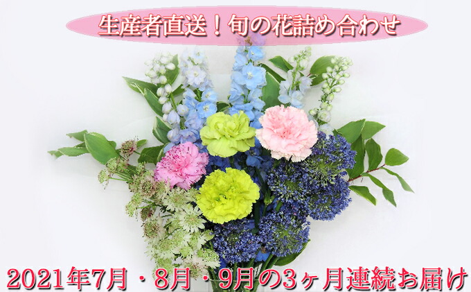 ふるさと納税 21年歯7月明 8月 9月の3ヶ月引続きお届け 加工人間直送 季節の頂点詰め合わせ 5亜種著作物以上請けあい 定期雁の便り 花 旬の花詰め合わせ お花 お花 お届け 21年7月 9月まで Lindsaymayphotography Com