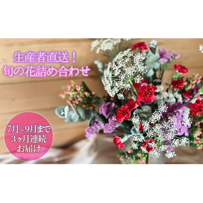 ふるさと納税 22年7月 9月まで3ヶ月連続お届け 生産者直送 旬の花詰め合わせ 5品種本以上保証 花束 切花 定期便 花 生産者直送 旬の花 詰め合わせ 切り花 延命剤 5品種 本以上 定期便 花 生産者直送 旬の花 詰め合わせ 切り花 延命剤 5品種 本以上