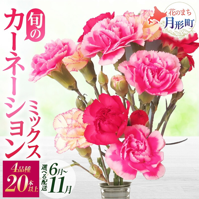 【ふるさと納税】＜選べる配送月＞ 北海道 カーネーション ミックス 4品種 20本以上 花 花束 切花 ブーケ 旬 季節 詰め合わせ 生花 フラワー アレンジメント 産地直送 　お届け：2026年6月～11月末まで｜北海道月形町