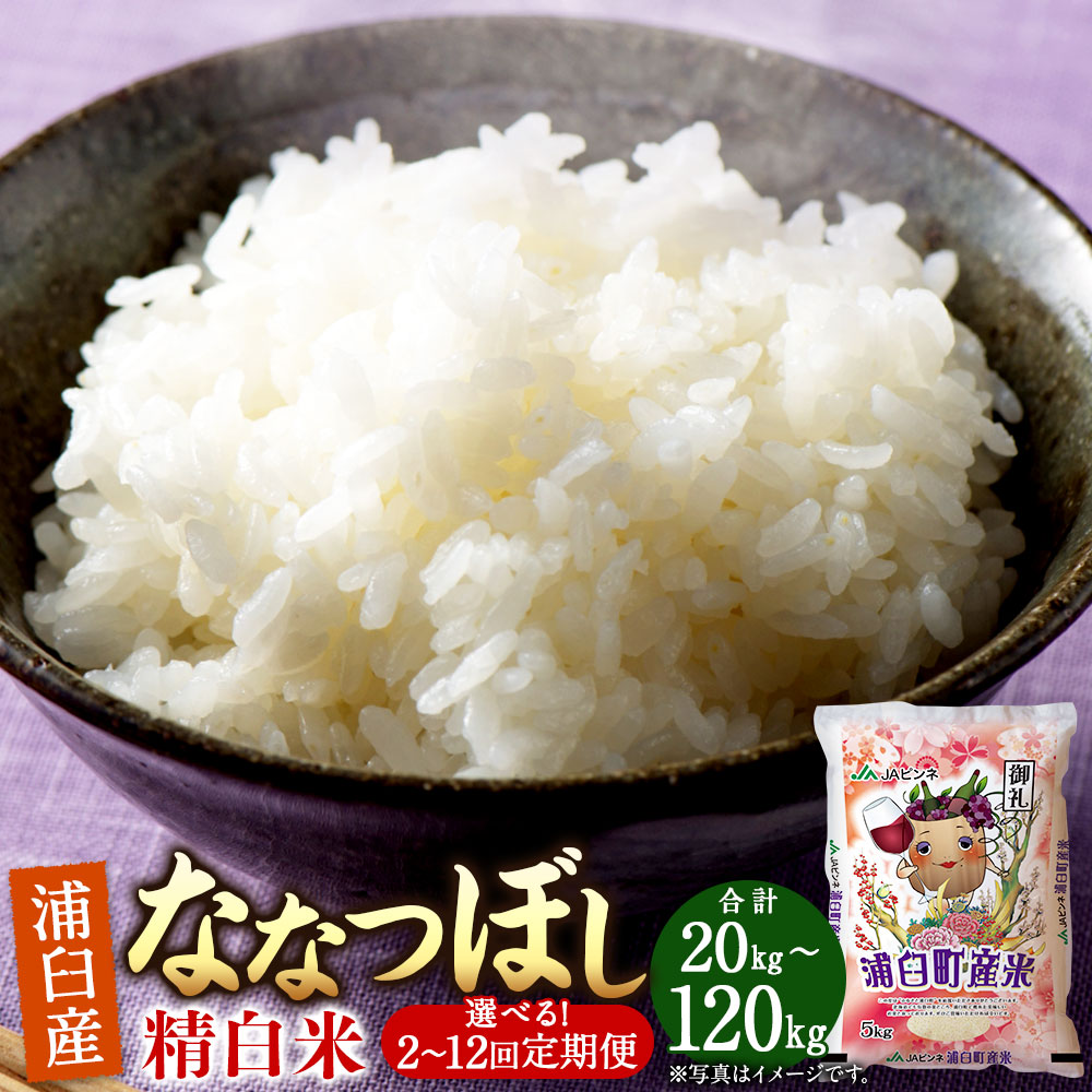 【ふるさと納税】《選べる定期便:2~12回》<令和8年産>浦臼産ななつぼし 精白米 10kg(5kg×2袋) 米 お米 こめ おこめ コメ ブランド米 ごはん ななつぼし 白米 精米 定期 定期便 北海道産 浦臼産 北海道 浦臼町 送料無料 【2026年10月下旬より順次発送】|北海道浦臼町