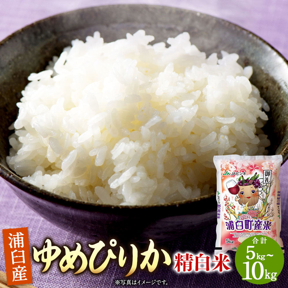 【ふるさと納税】＜選べる内容量＞〈令和8年産〉 浦臼産 ゆめぴりか 精白米 5kg&times;1袋 / 計10kg（5kg&times;2袋） お米 米 こめ コメ 白米 精米 単一原料米 ご飯 ごはん 北海道産 国産 北海道 浦臼町 送料無料 【2026年10月下旬より順次発送】｜北海道浦臼町