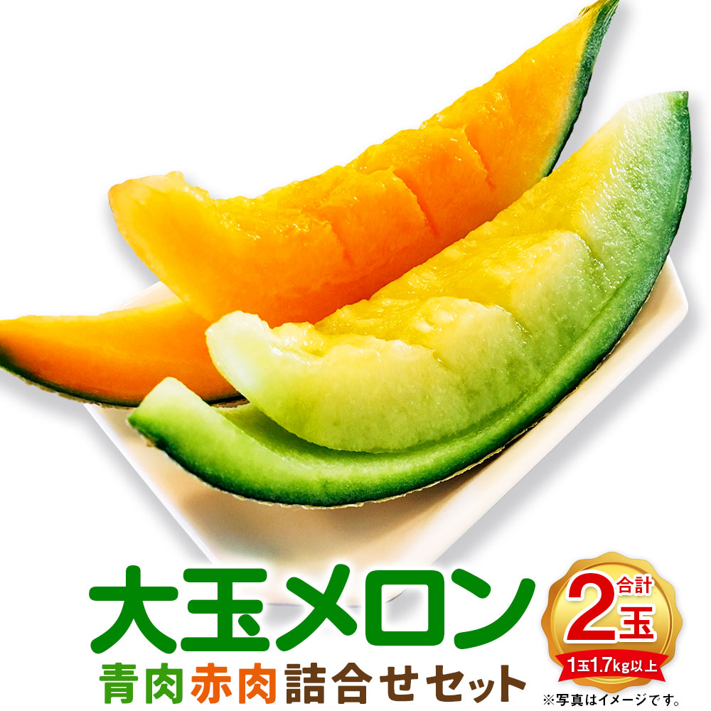 【ふるさと納税】（先行予約） 大玉メロン 青肉 赤肉 各1玉 詰合せ セット 1玉1.7kg以上 メロン 果物 くだもの フルーツ 果実 北海道 浦臼町 送料無料 【2025年7月上旬～2025年8月上旬迄発送予定】