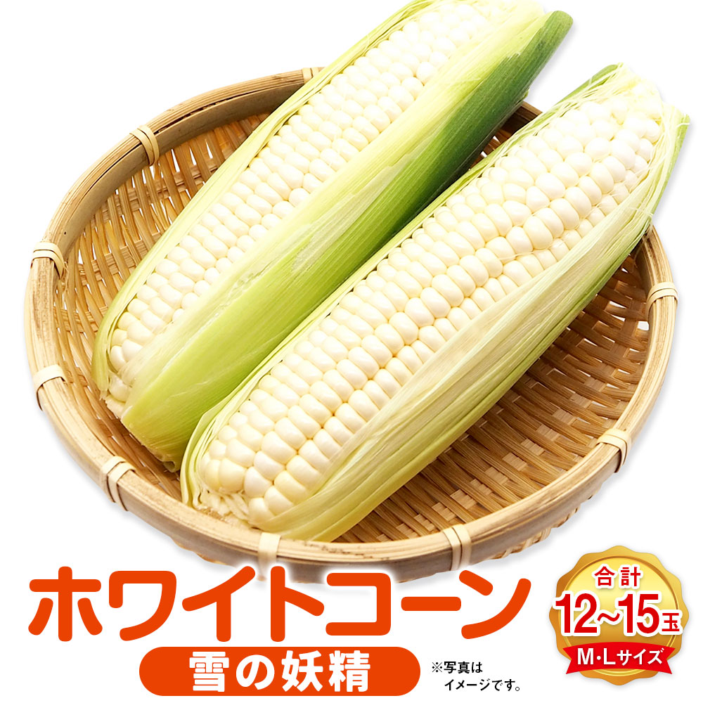 【ふるさと納税】ホワイトコーン（雪の妖精）M・Lサイズ12～15本入り 野菜 やさい とうもろこし 北海道 浦臼町 送料無料【2025年8月上旬～2025年8月下旬迄発送予定】
