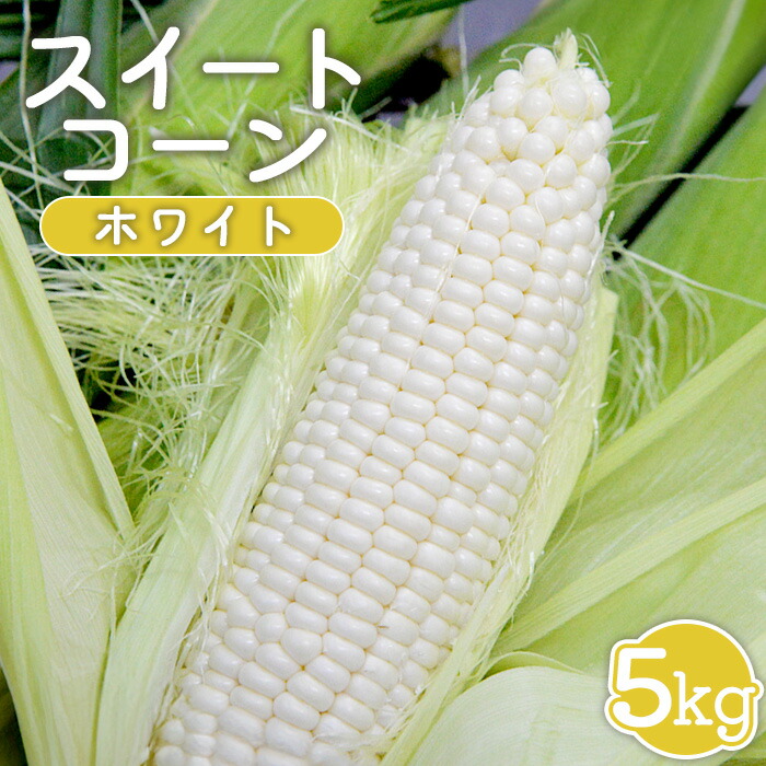 【ふるさと納税】【先行受付】 スイートコーン （ホワイト） 5kg  【令和7年８月１日頃～15日頃発送】 オンライン 申請 ふるさと納税 北海道 新十津川 北海道産 とうもろこし トウモロコシ 野菜 やさい 新鮮 大容量 新十津川町【1201901】