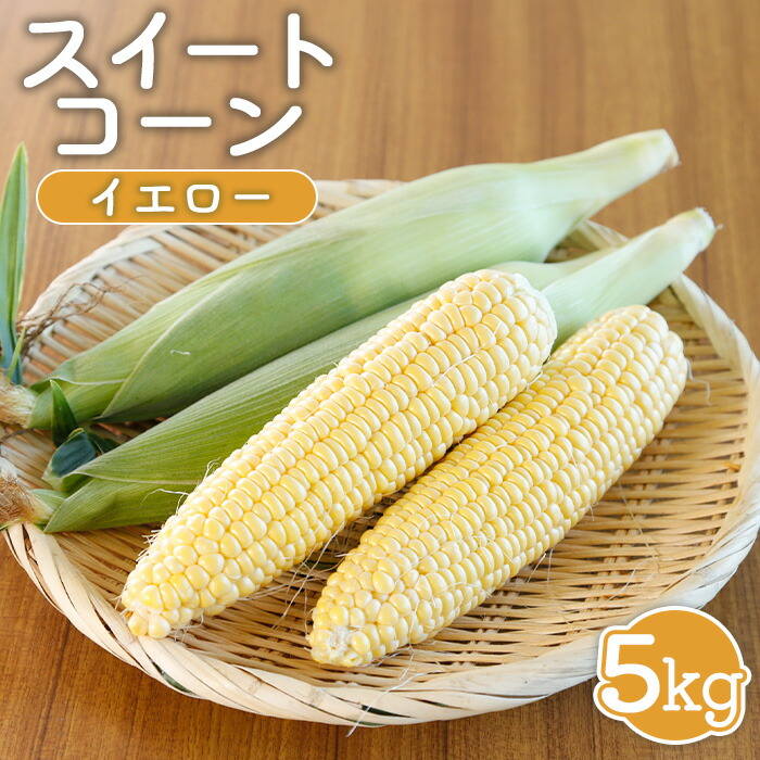【ふるさと納税】【先行受付】 スイートコーン （イエロー） 5kg 【令和7年８月１日頃～31日頃発送】 オンライン 申請 ふるさと納税 北海道 新十津川 北海道産 とうもろこし トウモロコシ 野菜 やさい 新鮮 大容量 新十津川町【1202001】