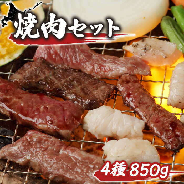 【ふるさと納税】大畠精肉店 の 焼肉セット（計4種×850g） オンライン 申請 ふるさと納税 北海道 新十津川 焼肉セット 焼き肉セット カルビ サガリ タン ホルモン 焼き肉 BBQ バーベキュー 冷凍 お取り寄せ 取り寄せ 新十津川【1300901】