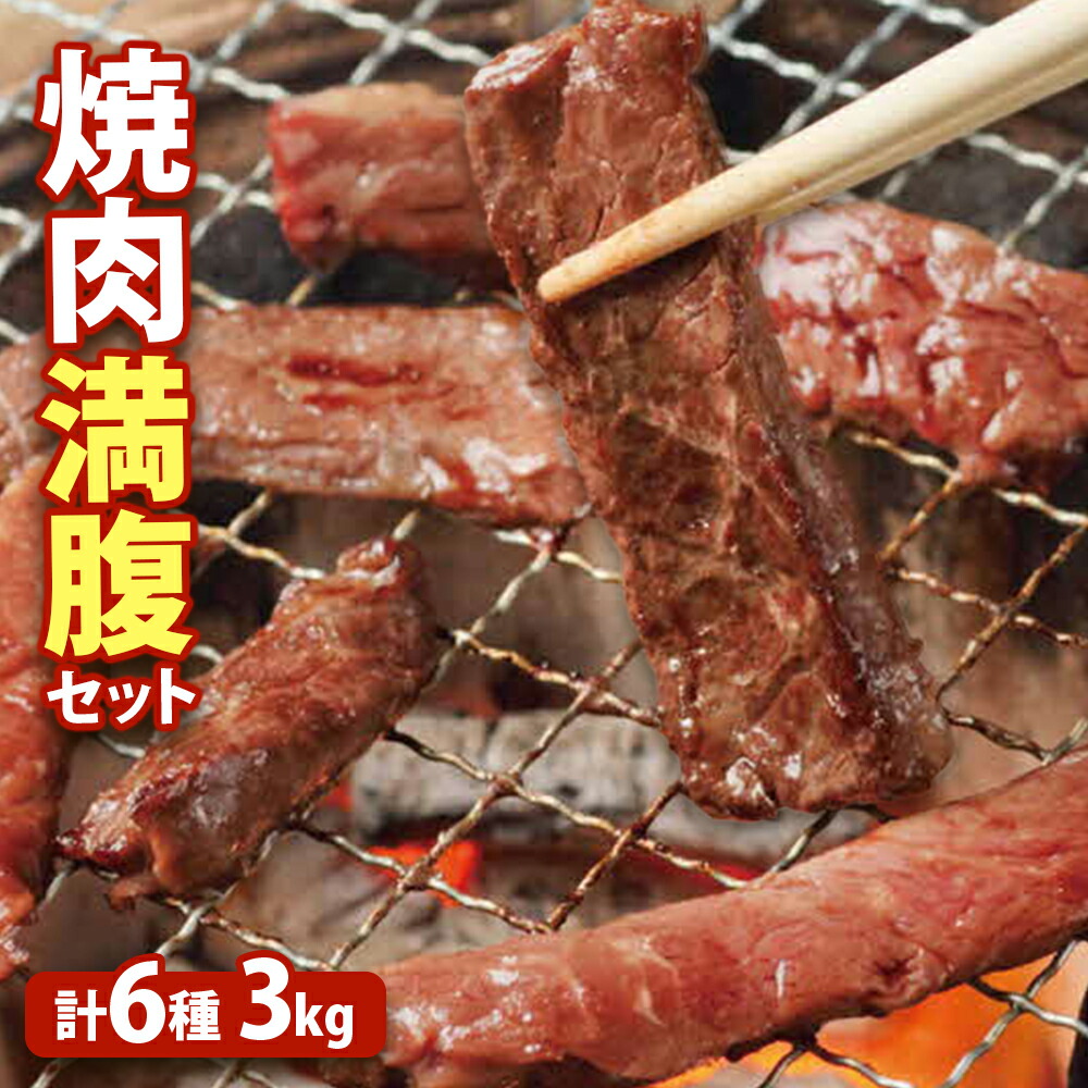 【ふるさと納税】大畠精肉店の焼肉満腹セット（計6種3kg） オンライン 申請 ふるさと納税 北海道 新十津川 焼肉セット 焼き肉セット カルビ サガリ ホルモン ジンギスカン 焼き肉 BBQ バーベキュー 冷凍 お取り寄せ 取り寄せ 新十津川町【1301101】