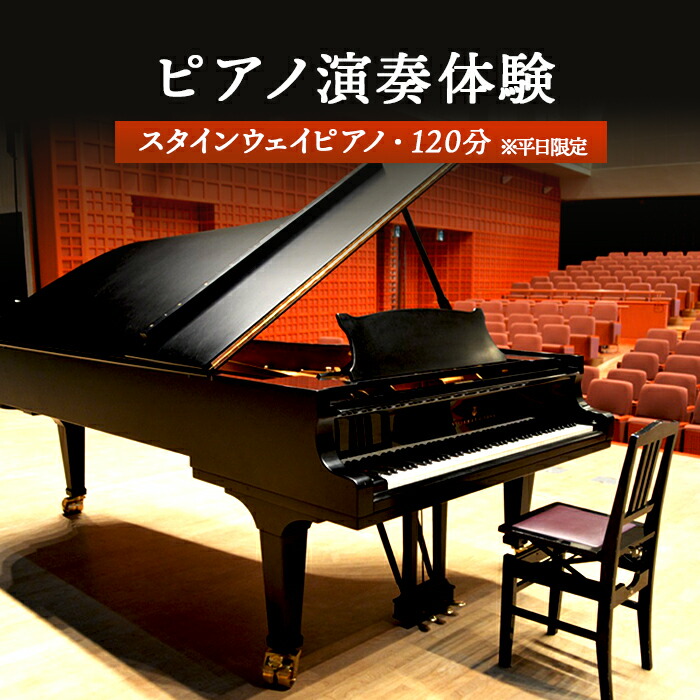 そら　艶あり　スタインウェイ インシュレーター　Bセット　ギフト そら 艶あり スタインウェイ インシュレーター Bセット ギフト 艶あり