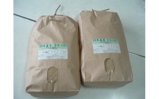 最新コレックション 楽天市場 ふるさと納税 ななつぼし玄米定期便 15kg ５回 偶数月に発送 北海道新十津川町 55 以上節約 Blog Belasartes Br