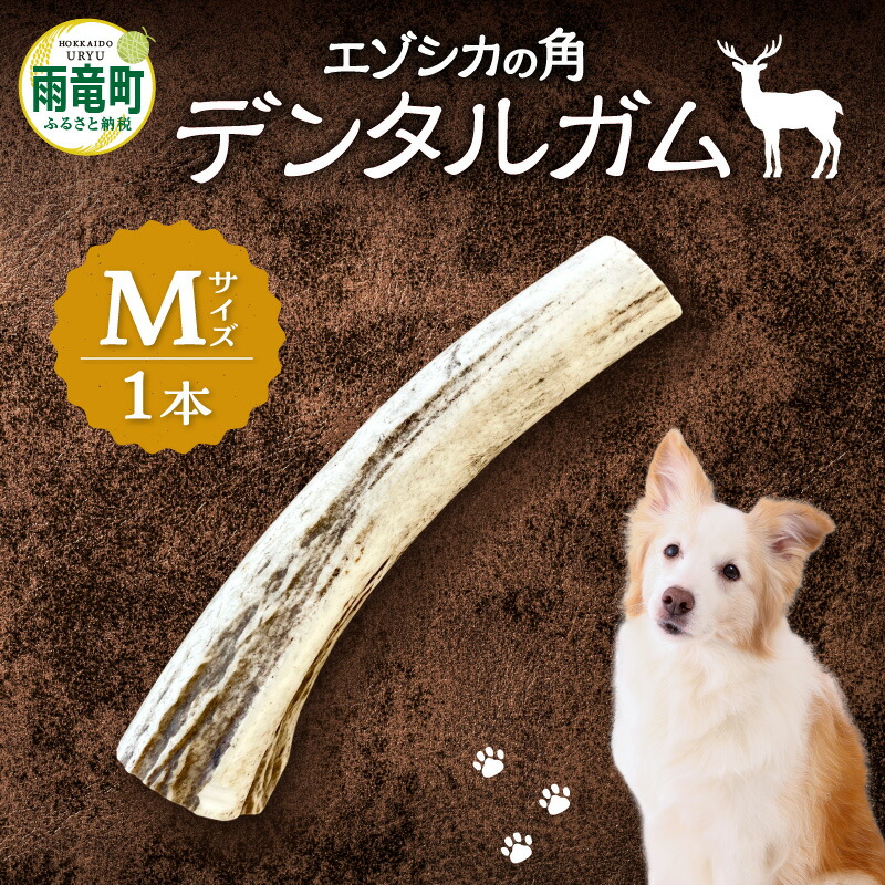 【ふるさと納税】【寸法押さえる】エゾシカの角デンタルガムM大きさ（中型犬向け）生まれながらのチュインガム 歯磨粉 歯垢 歯石 取りあげる 口臭止めること Ca リン 砿物 十分な量 思わしい守りつづける 剪断応力取り止める 自然状態の芳ばしさ 噛みごたえ 北海道 雨竜町