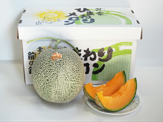 【ふるさと納税】【令和7年産 先行予約】北海道北竜町産ひまわりメロン（赤肉）２玉×1箱【国産メロン 北海道産 メロン めろん 果物 くだもの フルーツ デザート】