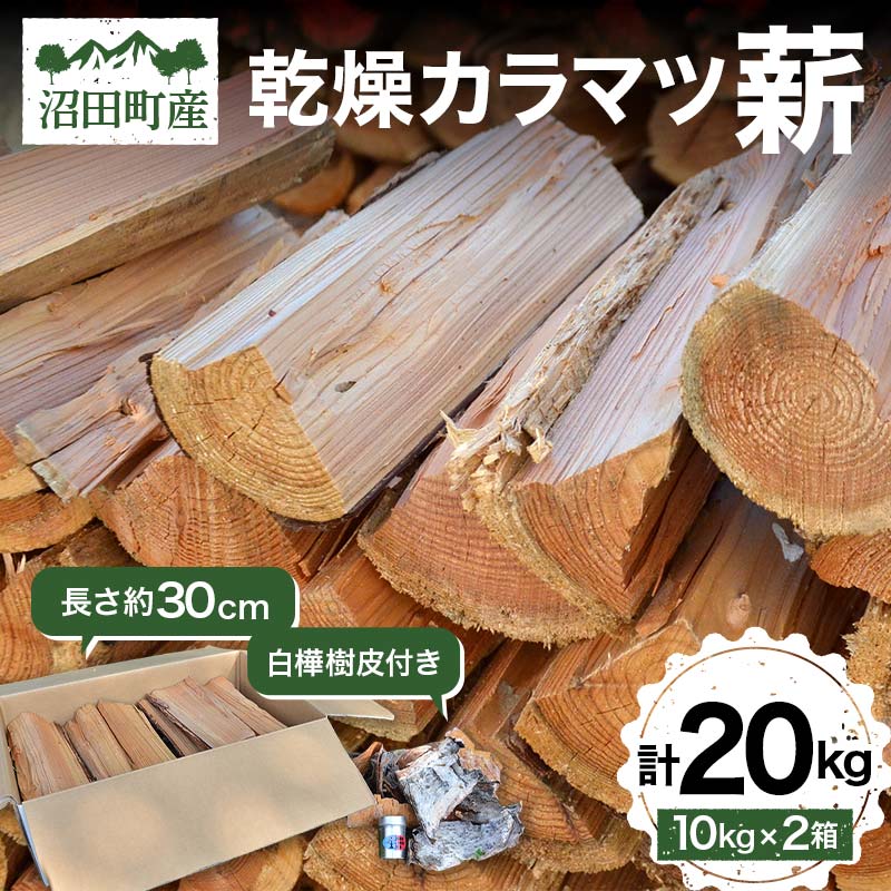【ふるさと納税】乾燥カラマツ薪 長さ約30cm 20kg 白樺樹皮付き アウトドア キャンプ 日用品 焚き木 薪ストーブ 乾燥薪 薪 薪割り BBQ バーベキュー ソロキャンプ キャンプファイヤー 暖炉 石窯 燃料 SNS インスタ 沼田町産 n-0073