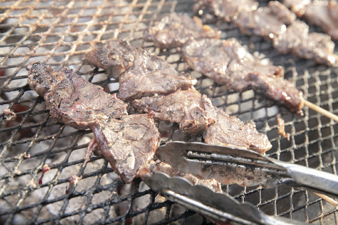 【ふるさと納税】エゾシカ 鹿肉 ロース・タン 串物 セット 各5本入り 北海道 鷹栖町 ロース もも肉 使用 高たんぱく 低脂肪 山恵 鹿肉 ジビエ