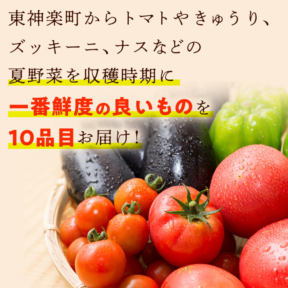ふるさと納税 北海道 レトルトカレー 東神楽町の夏野菜と黒豆カレーのセットカレー
