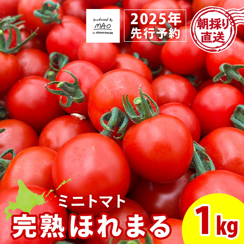 【ふるさと納税】【2025年先行予約】 【朝採れ最短発送！】完熟ほれまる ミニトマト1kg<BR>ミニトマト 朝採り 新鮮 生鮮 野菜 トマト ふるさと納税 北海道 東神楽