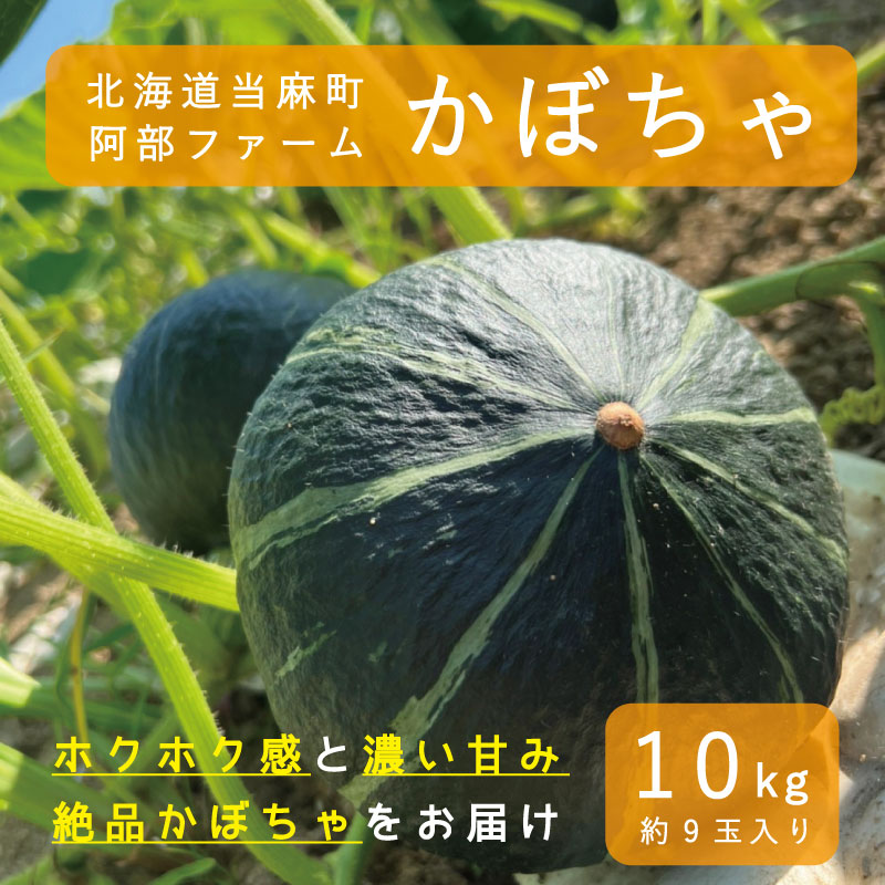 24のひとみ 倉島圭 全巻セット＋中学教師編 週刊少年チャンピオン 秋山