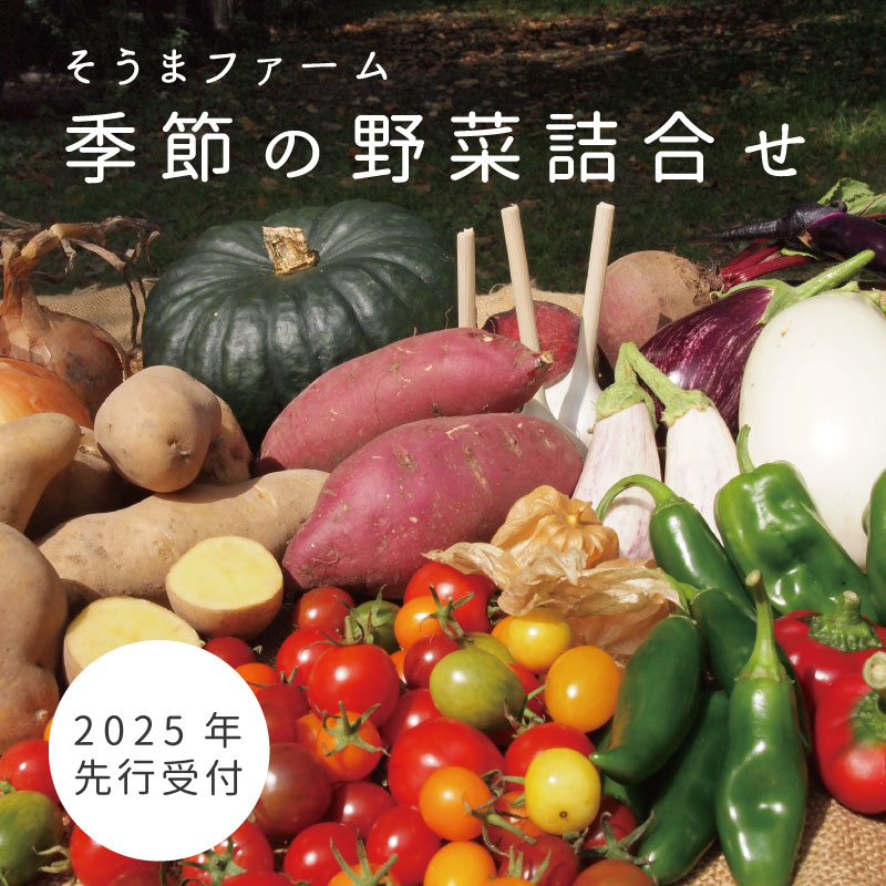 【ふるさと納税】 2025年産  そうまファーム 野菜セット 無農薬 無化学肥料  野菜詰め合わせ ぷちぷよ 白ナス とうもろこし にんにく ブルーベリー 玉ねぎ じゃがいも ビーツ ゴーヤ かぼちゃ 採れたて 新鮮 旬 相馬ファーム 数量限定 送料無料 北海道 当麻町 お取り寄せ
