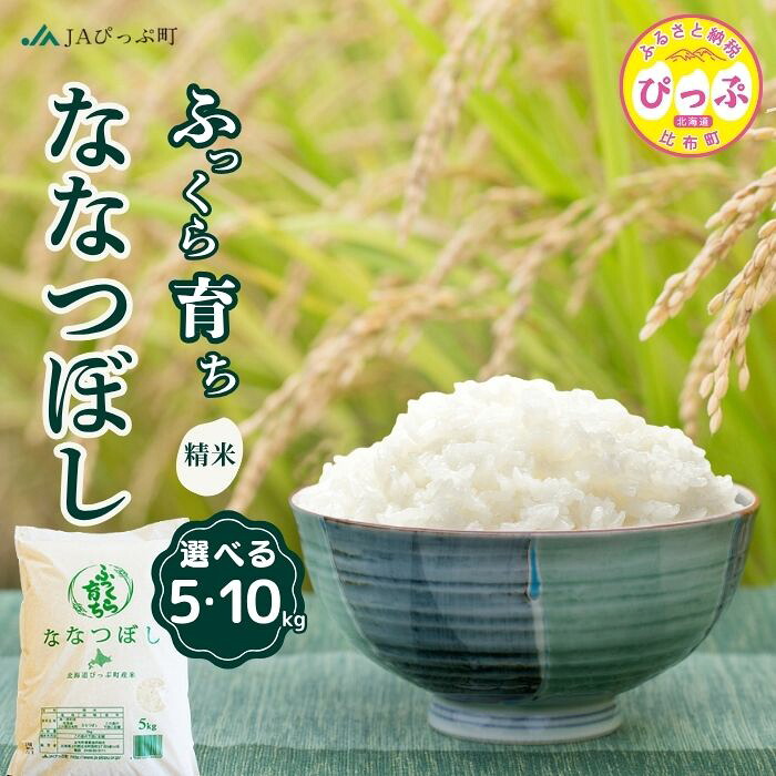 ななつぼし 北海道産 白米 SAVE 食の極 北海道産 白米 なな
