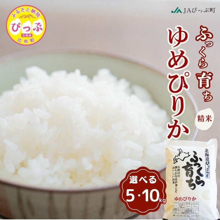 【ふるさと納税】令和7年産 ゆめぴりか 精米【JAぴっぷ町】選べる容量 5kg 10kg 米 お米 北海道産 北海道米 特Aランク 国産 白米 コメ 北海道 比布町 ぴっぷ|北海道比布町