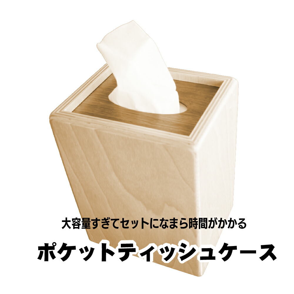 【ふるさと納税】大電気容量すぎて仕掛けるになまら第四次元がかかるポケットティッシュケース【G16108】