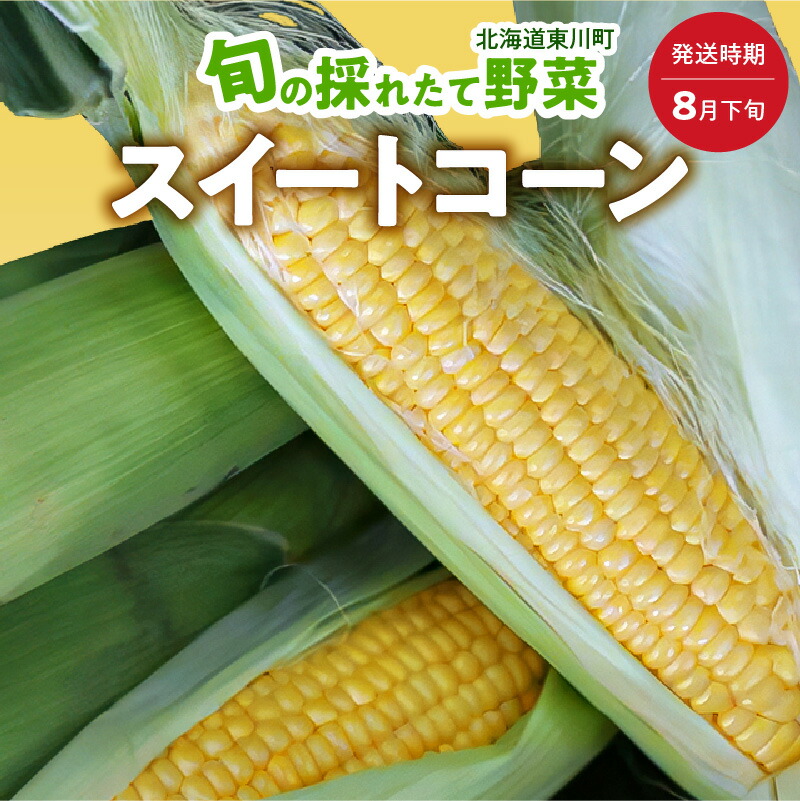 【ふるさと納税】【8月下旬発送】旬の採れたて野菜「スイートコーン」