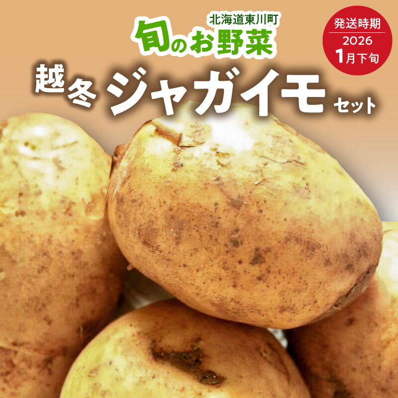 【ふるさと納税】【1月下旬発送】旬のお野菜「越冬ジャガイモセット」