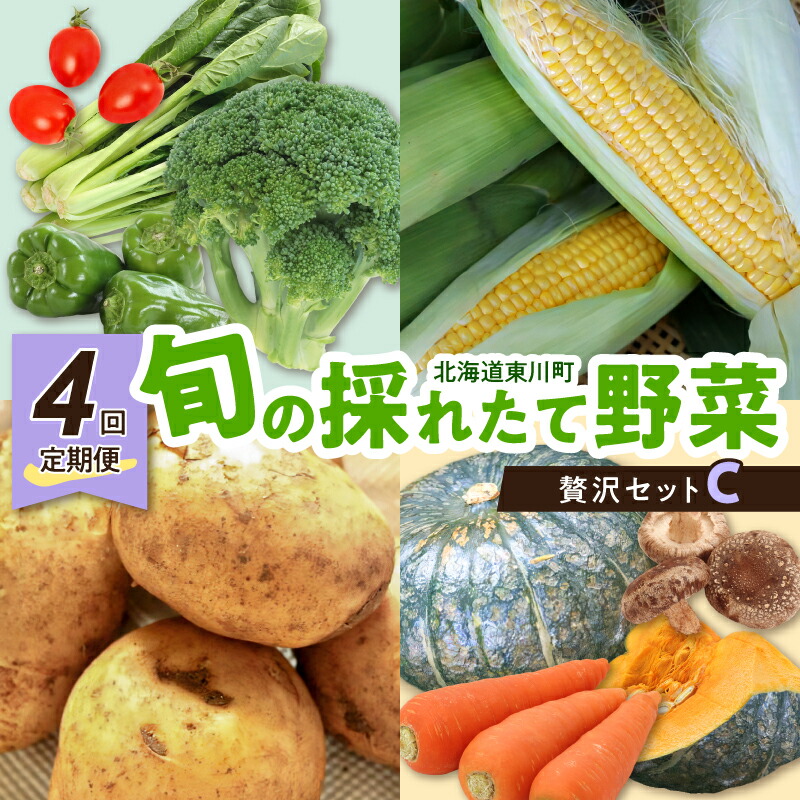【ふるさと納税】【4回定期便】旬の採れたて野菜「贅沢セットＣ」