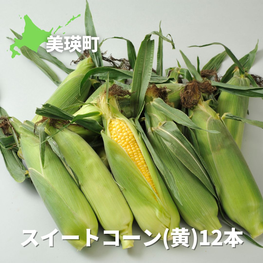 【ふるさと納税】≪令和７年産予約受付！≫美瑛選果　スイートコーン(黄１２本)　北海道　北海道美瑛　北海道美瑛町　美瑛町　美瑛　とうもろこし　とうきび　スイートコーン　食べ比べ　夏野菜　美瑛産　北海道産　北海道産とうもろこし　美瑛選果[012-171]