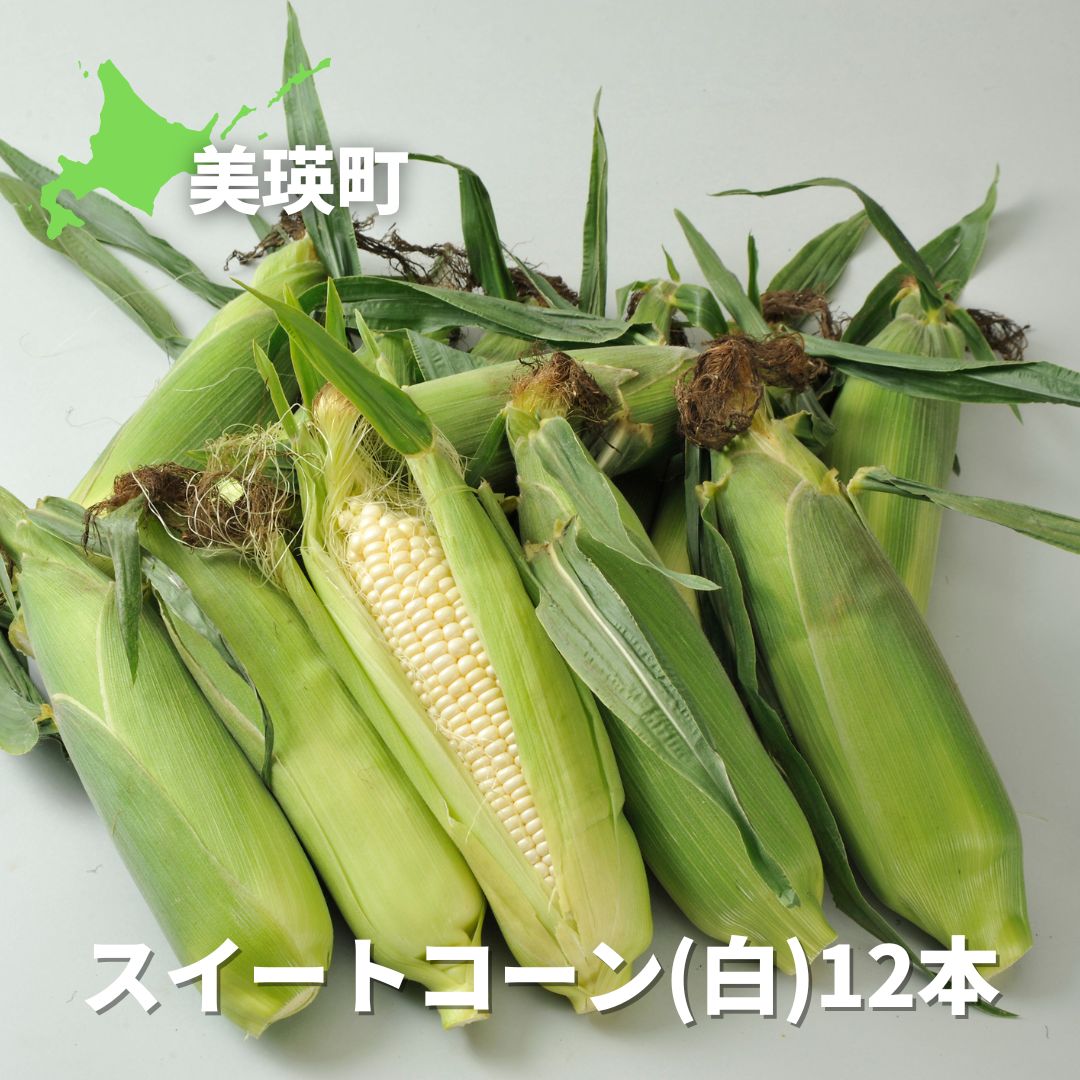 【ふるさと納税】≪令和７年産予約受付！≫美瑛選果　スイートコーン(白１２本)　北海道　北海道美瑛　北海道美瑛町　美瑛町　美瑛　とうもろこし　とうきび　スイートコーン　食べ比べ　夏野菜　美瑛産　北海道産　北海道産とうもろこし　美瑛選果[014-80]