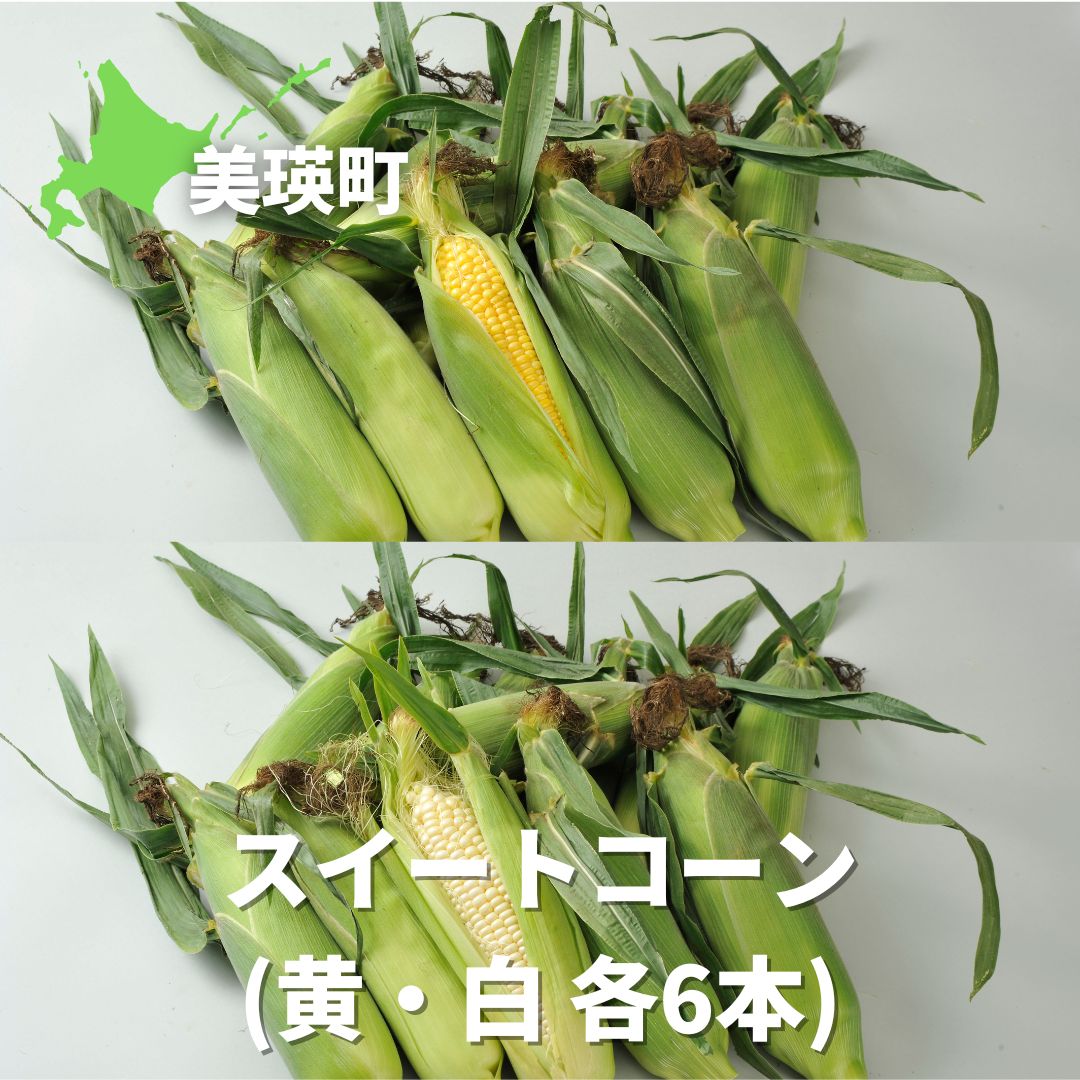 【ふるさと納税】≪令和７年産予約受付！≫スイートコーン（白・黄）各6本セット　北海道　北海道美瑛　北海道美瑛町　美瑛町　美瑛　とうもろこし　とうきび　スイートコーン　食べ比べ　夏野菜　美瑛産　北海道産　北海道産とうもろこし　美瑛選果[013-74]