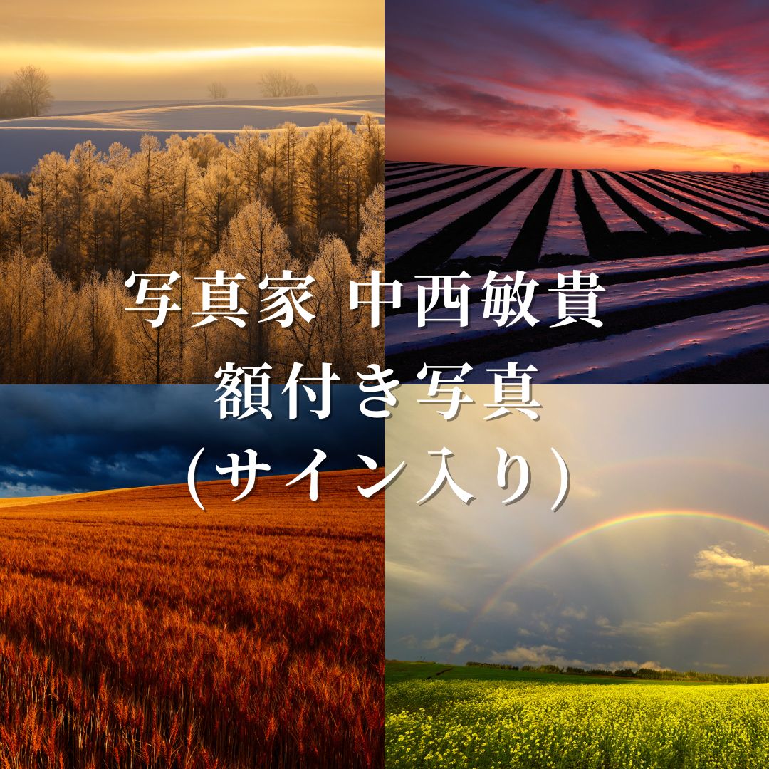 前田真三 額入り写真 拓真舘 麦秋の丘 美瑛町 北海道 楽天市場】【ふるさと納税】前田真三 額付き写真（白木額