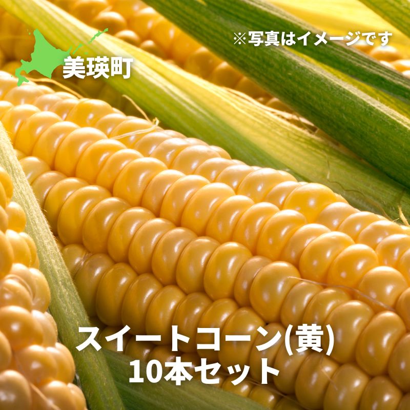 【ふるさと納税】≪令和７年産予約受付！≫スイートコーン（黄）10本 北海道 北海道美瑛 北海道美瑛町　美瑛町　北海道産　美瑛産　スイートコーン とうもろこし とうきび 北海道とうもろこし　野菜　送料無料　美景農園　[013-65]