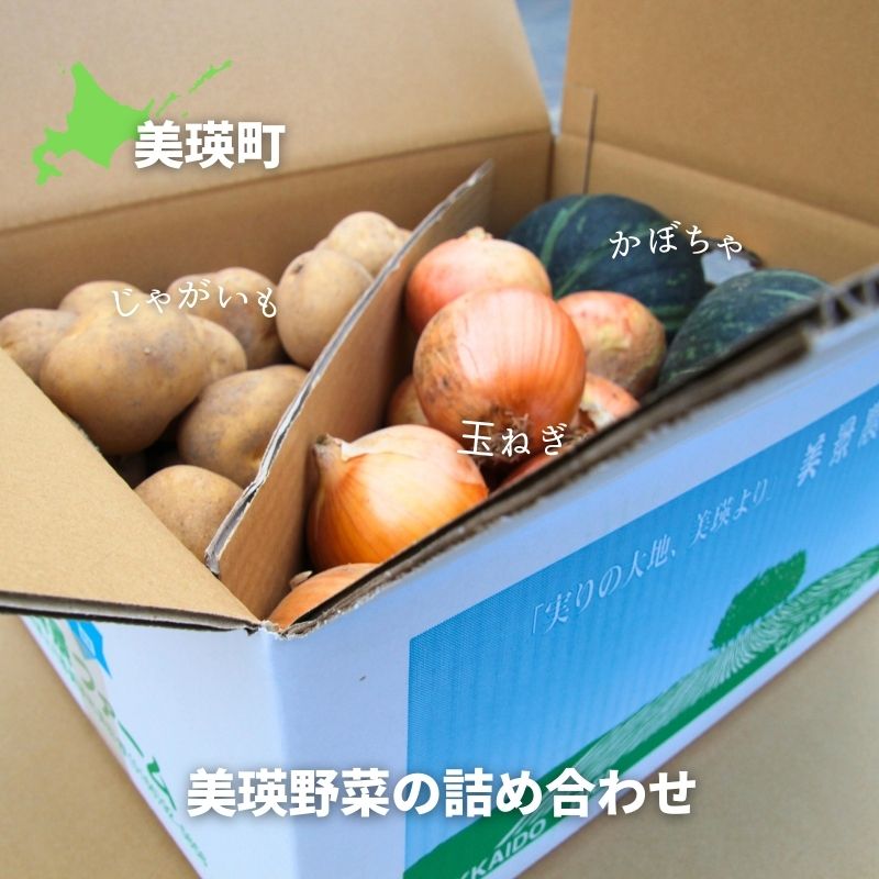 【ふるさと納税】≪令和７年産予約受付！≫美瑛野菜 玉ねぎ じゃがいも かぼちゃ5kg 4kg  詰め合わせ 送料無料 野菜 北海道 北海道美瑛北海道美瑛町 美瑛町 美瑛 北海道産 2個 美景農園 [014-79]