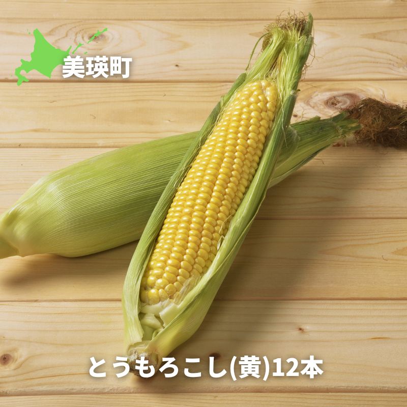 【ふるさと納税】≪令和７年産予約受付！≫美瑛産とうもろこし(黄) 12本　野菜　送料無料　美瑛　北海道美瑛　北海道美瑛町　美瑛町　美瑛産　北海道産　とうもろこし　スイートコーン　わくわくコーン [ 5kg 以上] とうきび　おおとり[014-73]