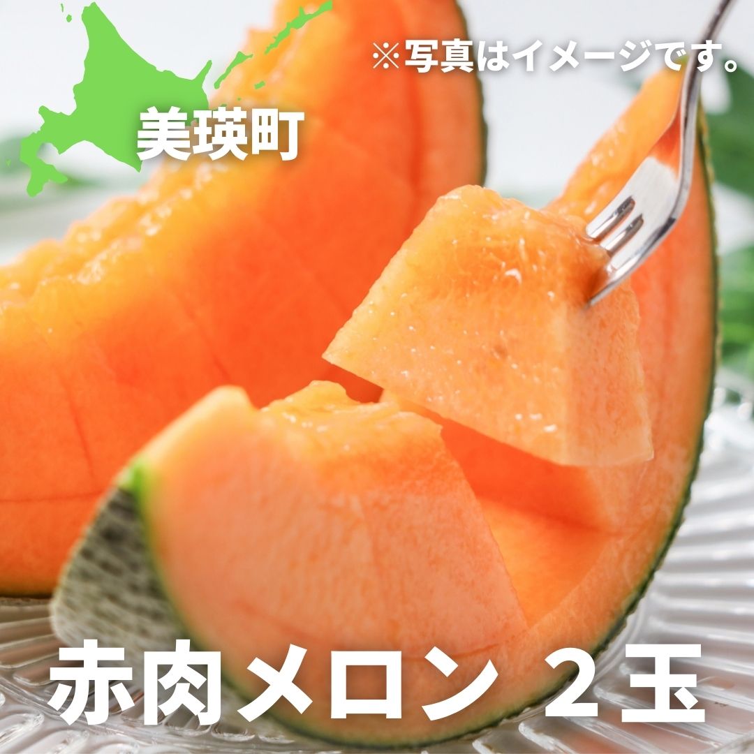 【ふるさと納税】≪令和７年産予約受付！≫ 赤肉 メロン 2玉 北海道 北海道美瑛 北海道美瑛町　美瑛町　美瑛 メロン スイーツ 果物 野菜 送料無料 美景農園[016-61]
