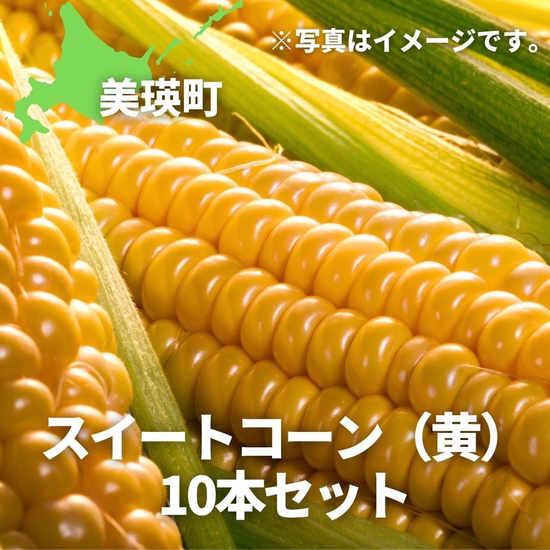 楽天市場】【ふるさと納税】≪令和６年産！≫メロン２玉 北海道 北海道