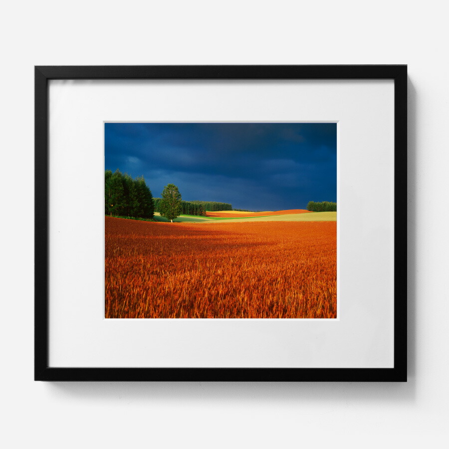 楽天市場】【ふるさと納税】前田真三 額付き写真（白木額