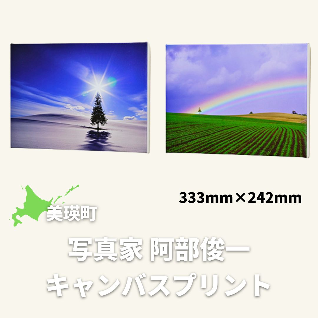 【ふるさと納税】キャンバスプリント(333mm × 242mm)　北海道　北海道美瑛　北海道美瑛町　美瑛町　美瑛　写真　クリスマスツリーの木　写真家　阿部俊一　[048-05]