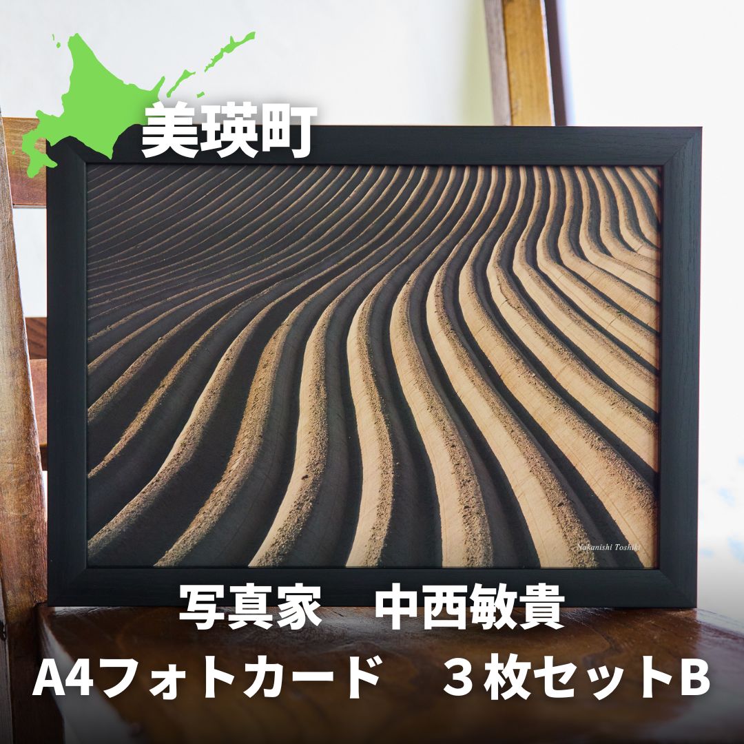 【ふるさと納税】写真家　中西敏貴　A4フォトカード　３枚セットB[010-205]