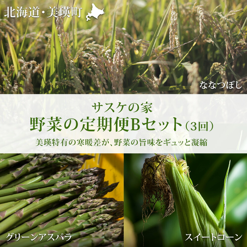 【ふるさと納税】 野菜 定期便 Bセット 3ヶ月 ≪令和８年産予約受付！≫ 送料無料 セット 詰め合わせ アスパラ アスパラガス とうもろこし とうきび スイートコーン ななつぼし 3回 米 新米 北海道 北海道美瑛 美瑛町 美瑛産野菜 野菜の定期便 サスケの家 定期便[041-11]