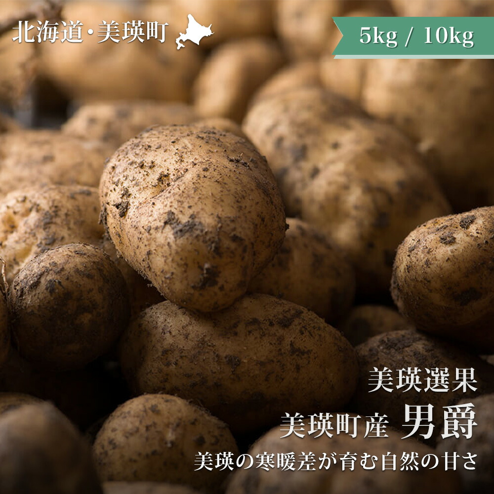 【ふるさと納税】≪令和8年産予約受付！≫男爵 じゃがいも 5kg 10kg 送料無料 | 美瑛町産 北海道 ジャガイモ じゃが芋 男爵イモ 男爵いも 男爵芋 北海道美瑛 北海道美瑛町 美瑛町 美瑛 美瑛産 北海道産 美瑛選果[007-32]