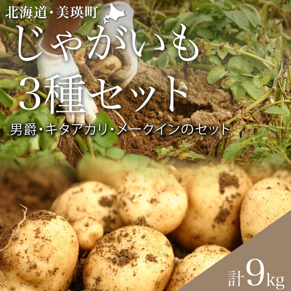 【ふるさと納税】【令和８年産予約受付！】じゃがいも 3種セット 9kg 詰め合わせ 送料無料 | 男爵 メークイン キタアカリ 食べ比べ 野菜 北海道 北海道美瑛 北海道美瑛町 美瑛町 美瑛 野菜 美瑛産 北海道産 黒木農場　[011-61]