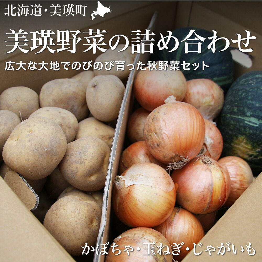 【ふるさと納税】≪令和８年産予約受付！≫美瑛 野菜 玉ねぎ じゃがいも かぼちゃ5kg 4kg セット 詰め合わせ 送料無料 野菜 北海道 北海道美瑛北海道美瑛町 美瑛町 美瑛 北海道産 2個 美景農園 [016-89]
