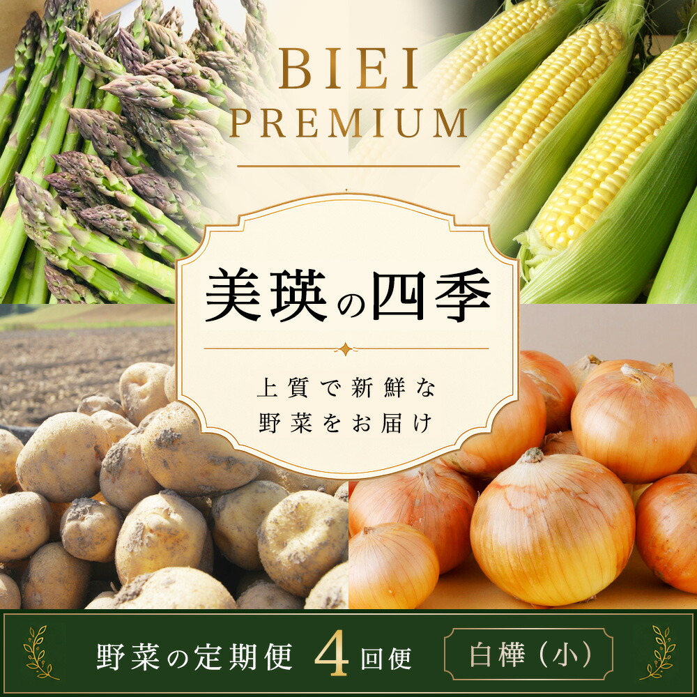 【先行予約】令和9年産【ふるさと納税】野菜 定期便 4回便 美瑛の四季～白樺～ アスパラ とうもろこし じゃがいも 玉ねぎ | アスパラガス トウモロコシ コーン タマネギ 食べ比べ セット 玉ねぎ 人気 おすすめ 芋 イモ じゃがいも ジャガイモ 野菜 セット｜北海道美瑛町