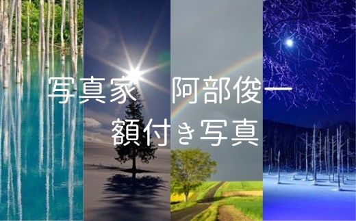 【ふるさと納税】額付き写真　写真家　阿部俊一　北海道　北海道美瑛　北海道美瑛町　美瑛町　美瑛　青い池　クリスマスツリーの木　写真家　阿部俊一[036-20]