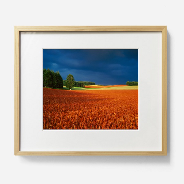 拓真館　前田真三オリジナル額装写真 楽天市場】【ふるさと納税】前田真三 額付き写真（白木額） 四切サイズ